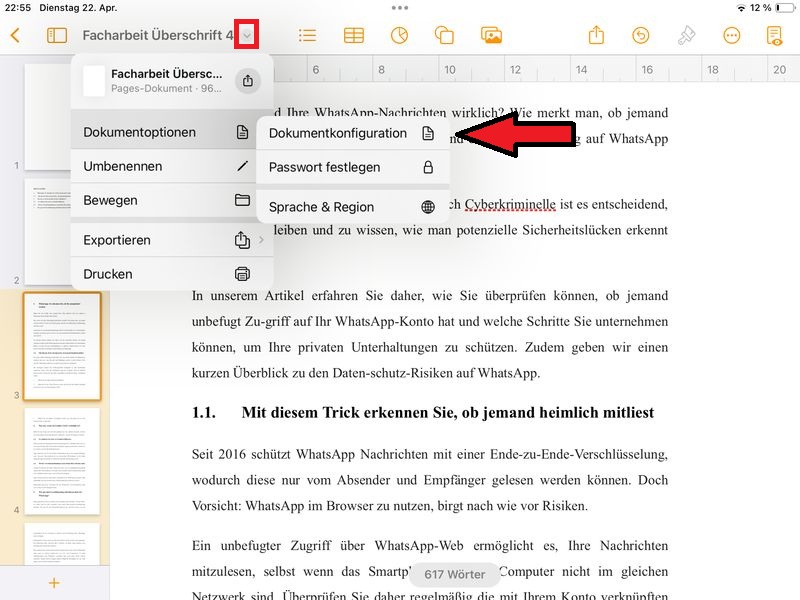 Dokumentenoptionen aufrufen